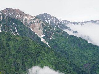 Fototapeta premium OLYMPUS DIGITAL CAMERA