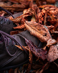 close up of a pair of boots in autumn leaves 