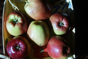 still life with red and green apples
