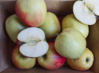 still life with red and green apples