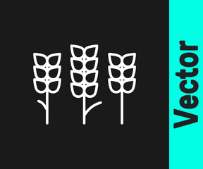 White line Cereals set with rice, wheat, corn, oats, rye, barley icon isolated on black background. Ears of wheat bread symbols. Vector.
