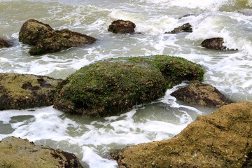Wet rocks on the shore, Marineland, Florida