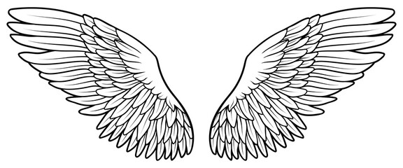 Beautiful black and white hand drawn vector wings