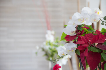 Fiori Rossi e Bianchi 