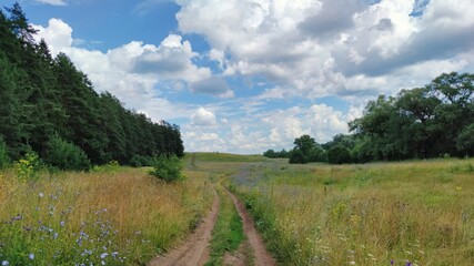 panoramic scene with a road in a field near the forest against a blue sky