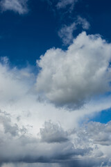 Beautiful blue sky background at daylight with white cumulus clouds. Vertical orientation