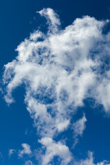 Beautiful blue sky background at daylight with white cumulus clouds. Vertical orientation