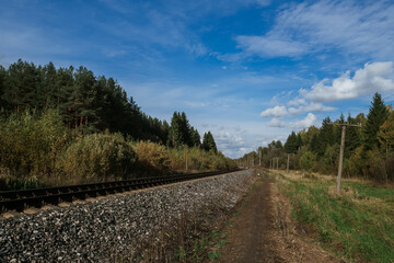 Fototapeta na wymiar Railway among the forest under the blue sky