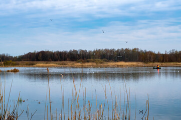 Lake in the forest in autumn. Reflection of the autumn forest in the pond.
