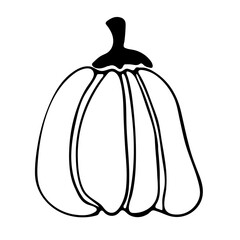 Vector doodle illustration of pumpkin. Hand drawn healthy farm vegetable isolated on white background. Organic veggie grown in the garden.