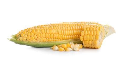 Fresh corn cobs on white background