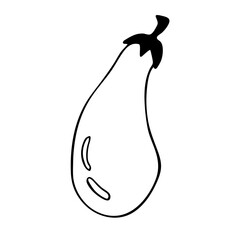 Vector doodle illustration of eggplant or aubergine