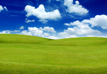 green field and blue sky with clouds