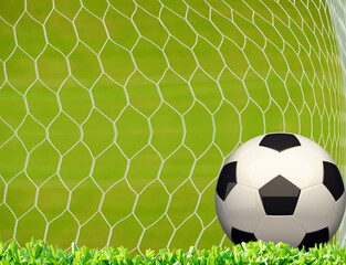 soccer ball in goal net	
