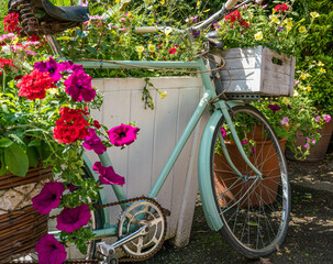 Fototapeta na wymiar A vintage bike with flowers and hanging baskets attached. 