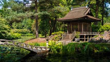 Fototapeta na wymiar japanese garden in the garden