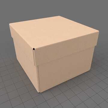 Cardboard box 1