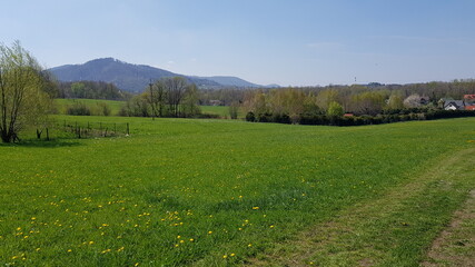 landscape in the mountains