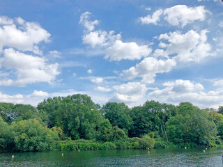 Fototapeta na wymiar summer landscape with lake