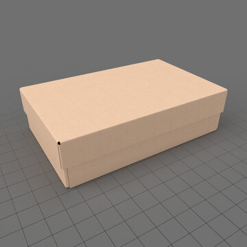 Cardboard box 5