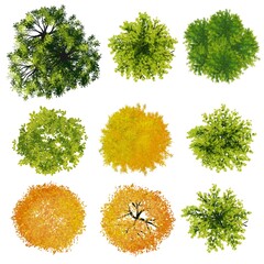 Fototapeta premium Set of 3d watercolor tree top view for landscape plan and architecture layout 