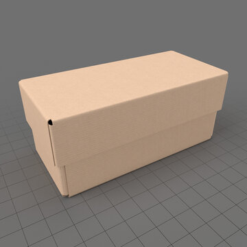 Cardboard box 3