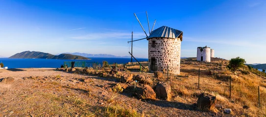Gartenposter Bodrum - popular tourist coastal town in Turkey. Traditional old windmills © Freesurf