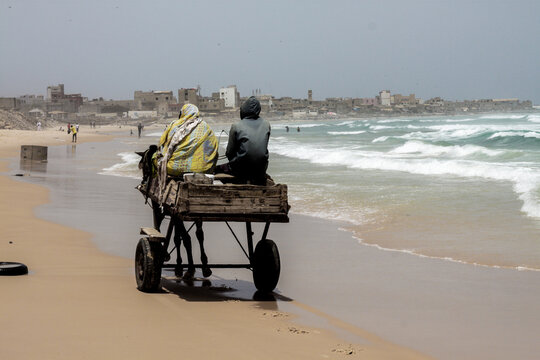 Fishermen's carriage with horse at the fish market in Dakar Senegal