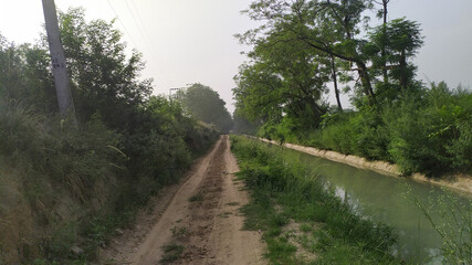 Fototapeta na wymiar Path in villages near a small river. Best place for jogging.