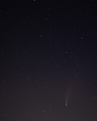 Comet Neowise in the black starry night sky. The sky of the Northern hemisphere at night, various...