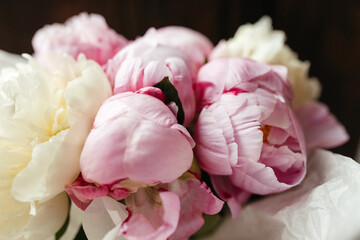 Peonies buds in a bouquet. close-up plan. Flowers for chic bouquets and weddings.