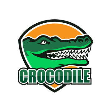 alligator crocodile logo for your business company. vector illustration
