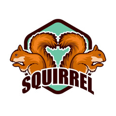 squirrel logo isolated on white background vector illustration