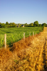 Obraz premium Paysage campagne 701