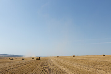 Fototapeta na wymiar Field after harvest in the morning. Large bales of hay in a wheat field.