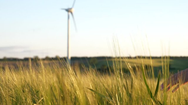 Beautiful young woman hopeful about the future of the planet runs her hand through field of crops at sunset with a renewable energy windmill in the background 