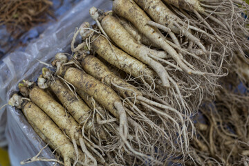 Fresh korean ginseng sold in the market.