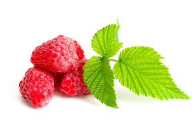 Fresh raspberry on white background
