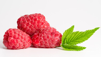 Raspberry on a white background.