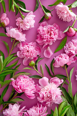 Pink peony flowers pattern viewed from above. Flower background. Top view