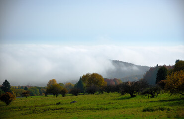 Aufziehender Nebel in der Herbstlichen Natur