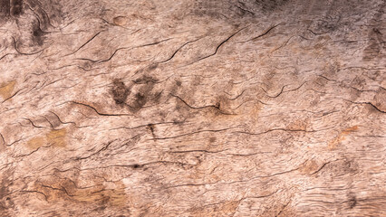 Ancient old wood grain background image