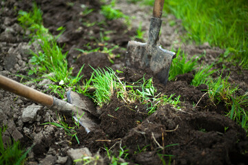 Digging up soil with a shovel.