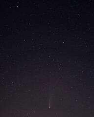 Comet Neowise in the black starry night sky. The sky of the Northern hemisphere at night, various...