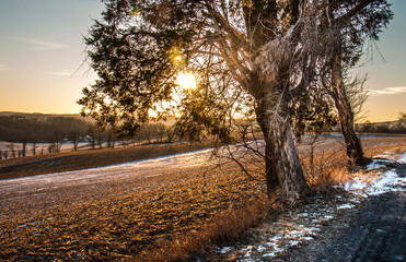 Winter sunrise over Pennsylvania farmland