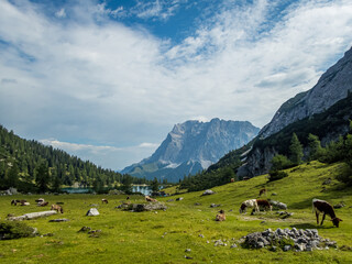 Fototapeta na wymiar Seebensee and Drachensee near Ehrwald in Tyrol