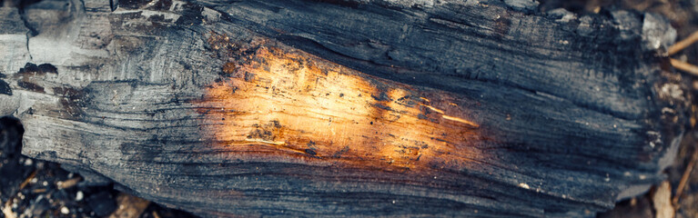 Natural ash charcoal fire place texture background. Closeup macro of old aged burnt wood. Burnt tree log nature backdrop. Dirty messy surface of firepit. Web banner header for a website.