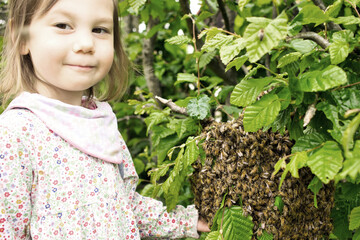 Kleines Mädchen streichelt Bienenschwarm in der Hecke