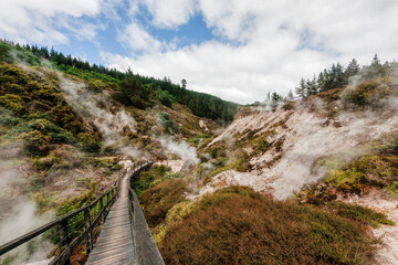 Fototapeta na wymiar Wooden footbridge with steam in Wairakei Thermal Valley