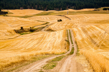 Dirt roads winding through stubble fields in the palouse wheat country in southeastern Washington.